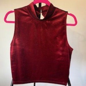 Stella Luce: Wine Red Crop Top